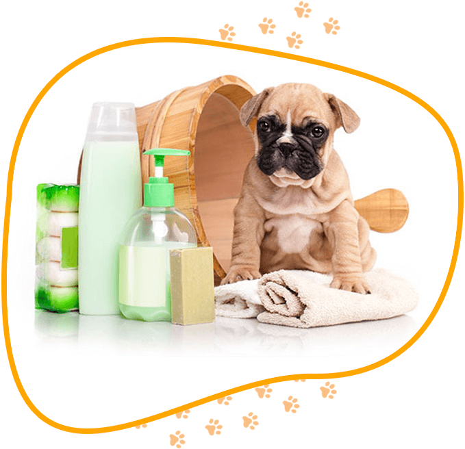 Crownhill Grooming Pet Supplies and Accessories Pet Accessories